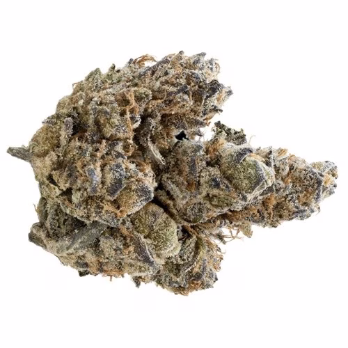Nugz - Florida Oranges