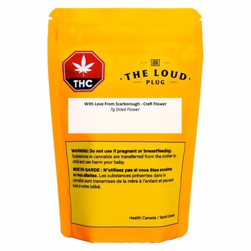 The Loud Plug - With Love From Scarborough