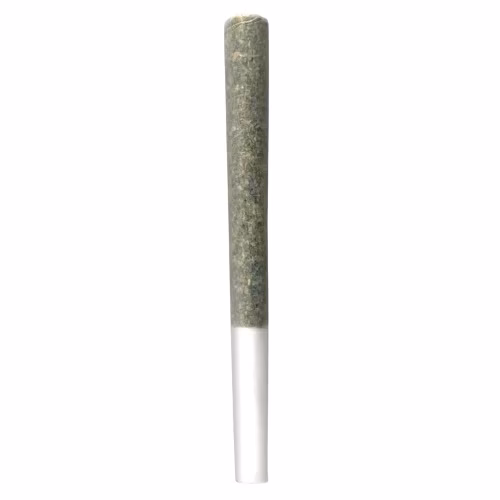 Irony - The Penny Puffer - Pre-Roll