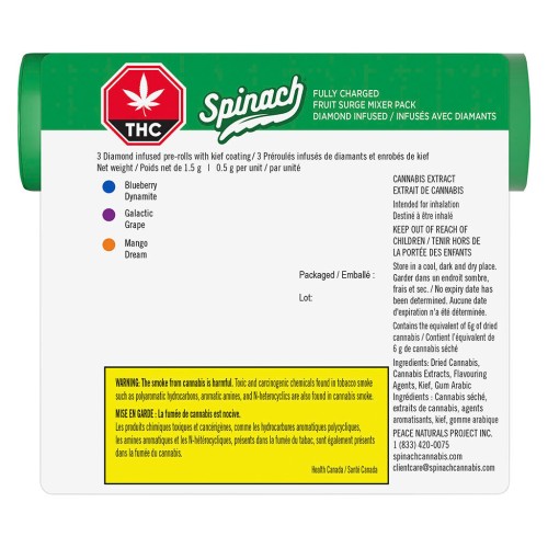 Spinach - Fully Charged Fruit Surge Mixer Pack Infused
