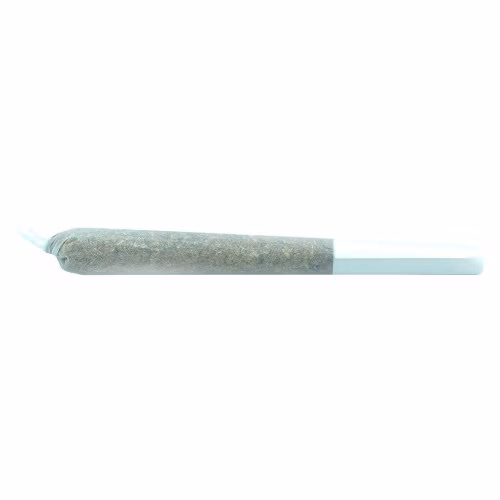 Truffle Treats Pre-Roll