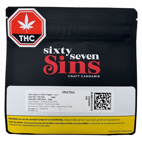 Sixty Seven Sins - Mind Playa