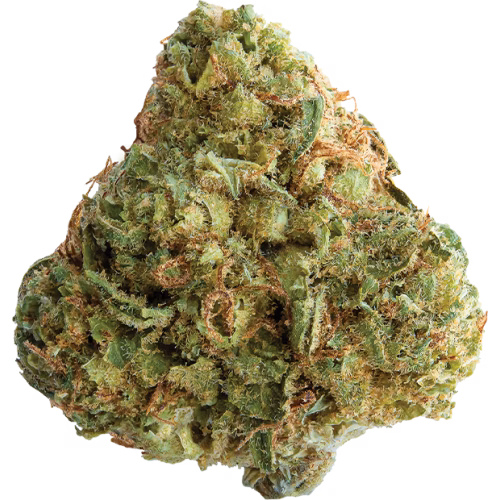 Spinach - Pineapple Paradise