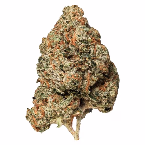 Island Pink Kush