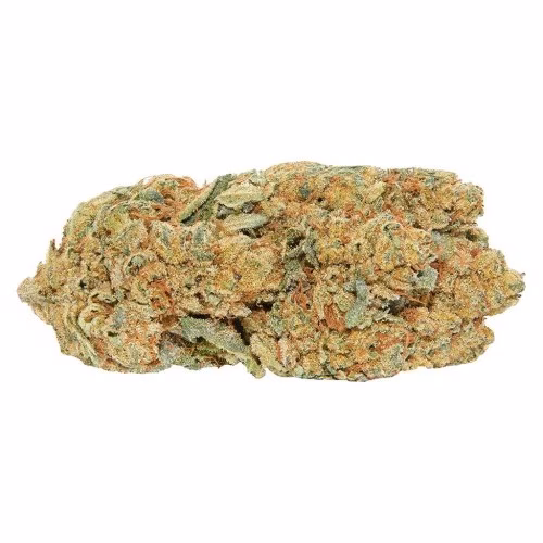 Redecan - Frosted Animal Cake