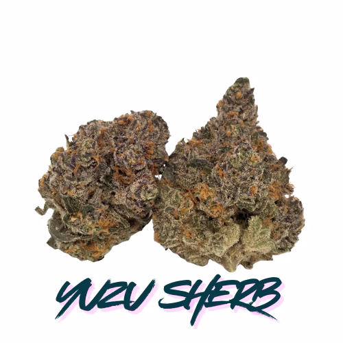 Kief Cannabis Co. - Yuzu Sherb