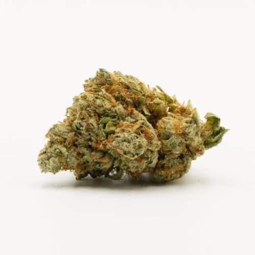 Highland Greenhouses Inc. - Zombie Death F#ck