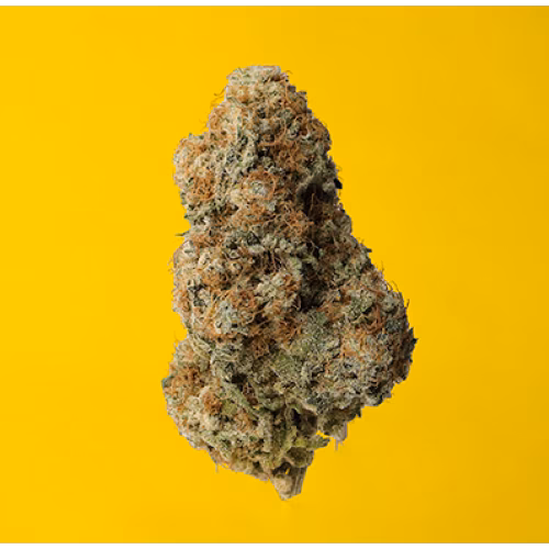 OGEN Ltd. - Lemon Z #42