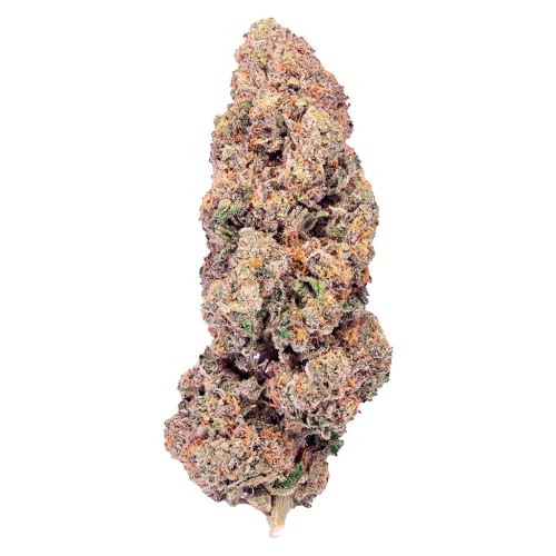 PURPLEFARM - Super Boof