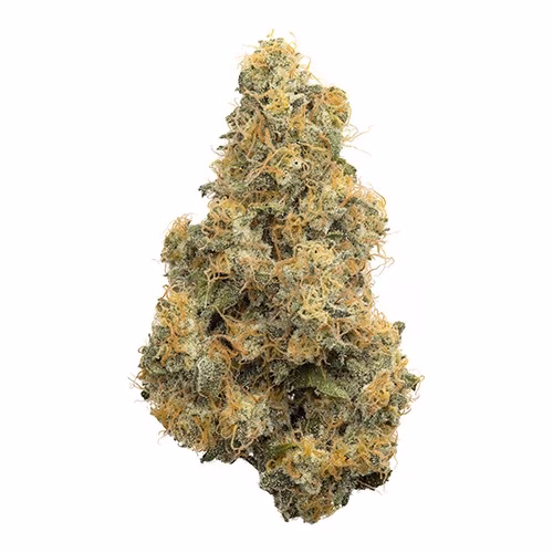 Coast Mountain Cannabis - BC Organic Pure Cake Skunk