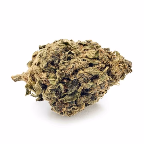 Solar Power | Sour Kush 1