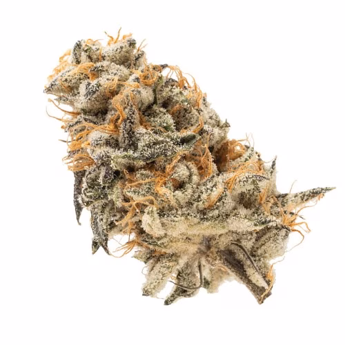 OGEN Ltd. - Megaton Melon #4