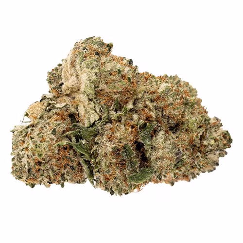 Pure Sunfarms - Pink Rhino