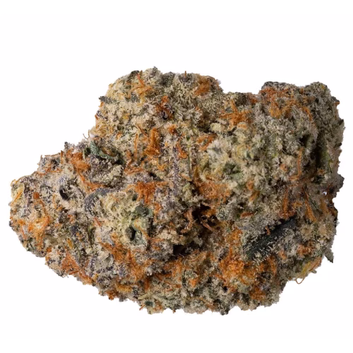 Carmel - Billy's Pheno *Limited Edition*