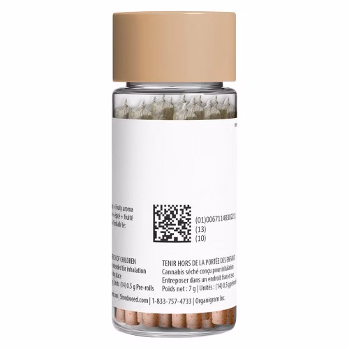 SHRED - OG Rootbeer Jar of Joints