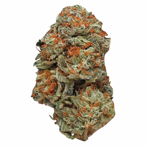 Station House - LA Confidential