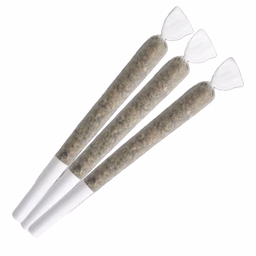 Jack Herer - Master Jack