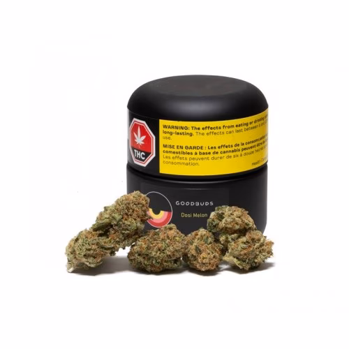 Good Buds - Dosi Melon