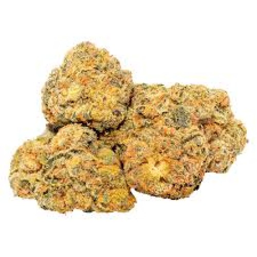 ZIP INDICA 28G
