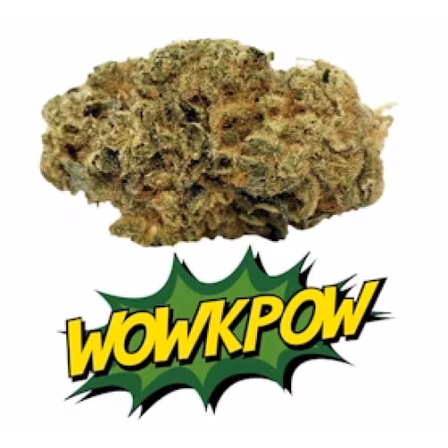 WOWKPOW - Gas Leak