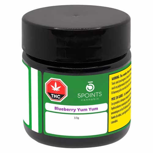 5 Points Cannabis - Blueberry Yum Yum
