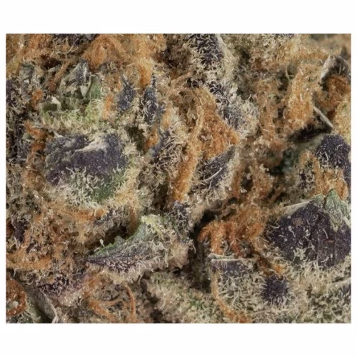 Tantalus Labs - Unicorn Poop