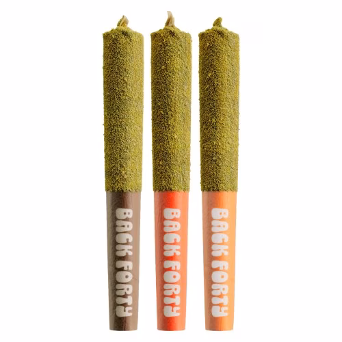 Back Forty - Kief-Coated Taster Pack Infused