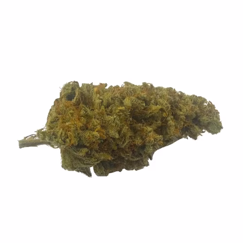 T8C Local Cannabis - Lilac Diesel