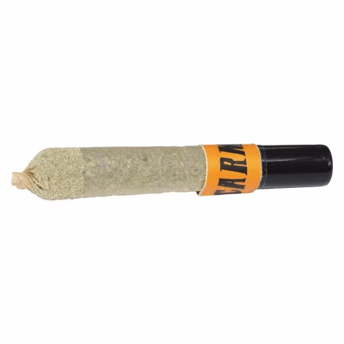 Carmel - Envy Ceramic Tip Infused Pre-Roll