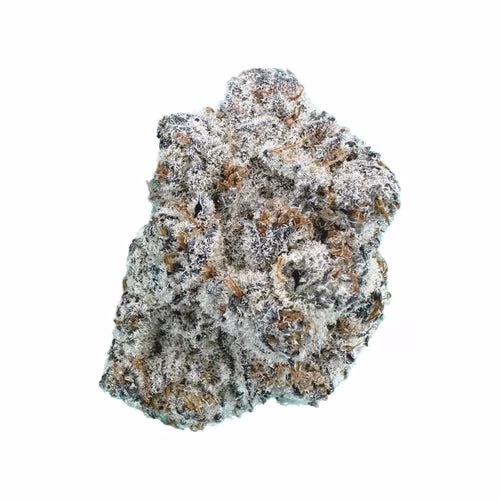 Rocky Mountain Cannabis - London Jealousy