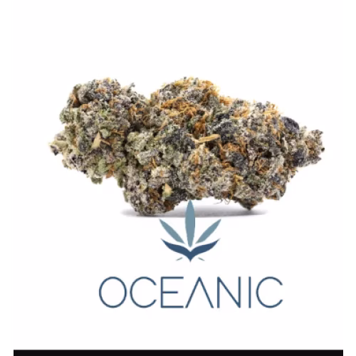 Oceanic Releaf Inc. - Black Cookies