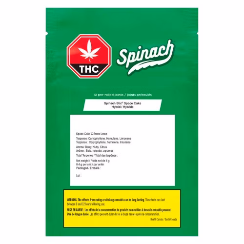 Spinach - STIX Space Cake