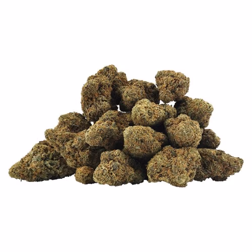 BC OZ - Durban Tropegranate