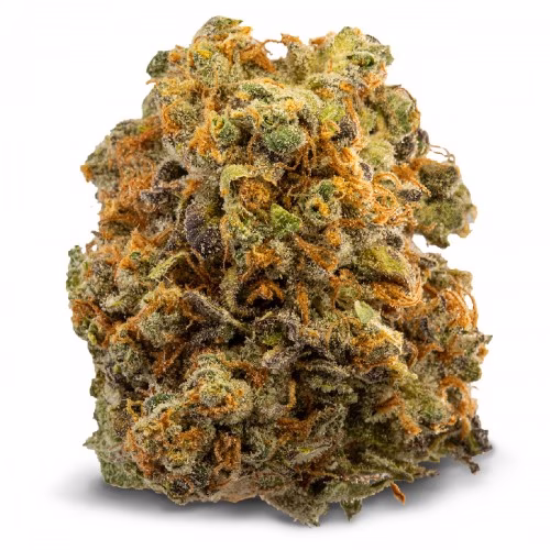 Spinach - White Widow