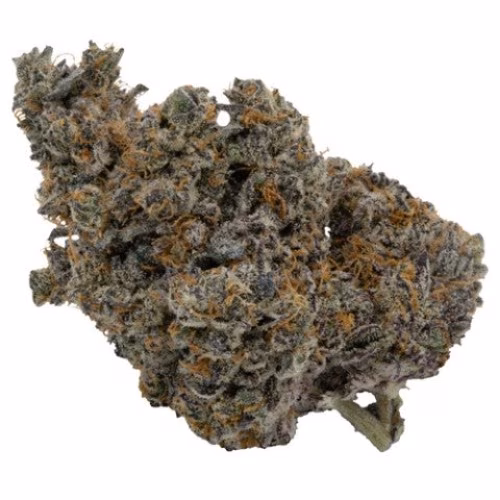 Koots Canna - Ice Burn