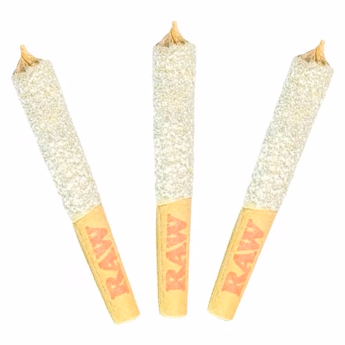 Dab Bods - Apple Spice 50's+ Triple Infused