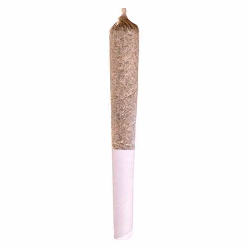Potluck - Mango Dream Pre-Roll