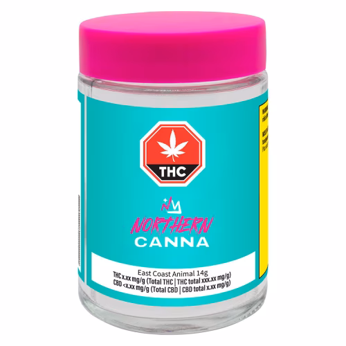 Northern Canna - East Coast Animal