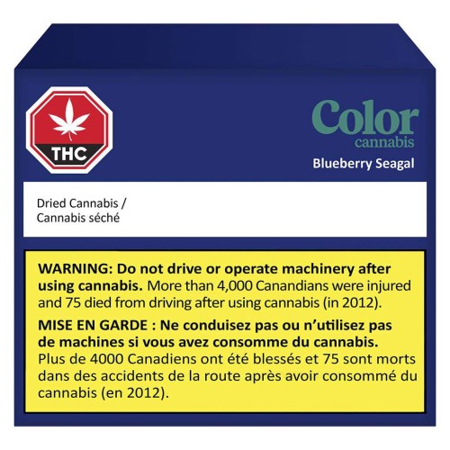 Blueberry Seagal image 2