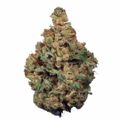 Steel City Green - Space Travel Kush