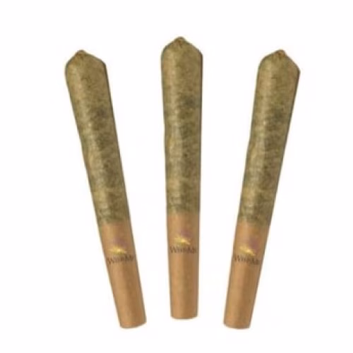 Weed Me - Powdered Donuts Pre-Rolls