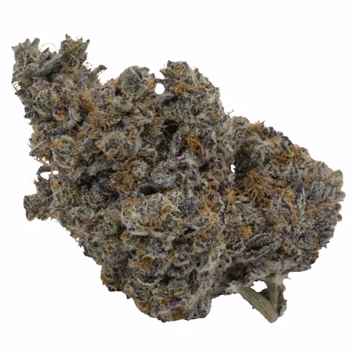 JELLYSICKLE INDICA 14G