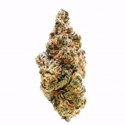 Northern Sunrise Farms - Cakes & Cream