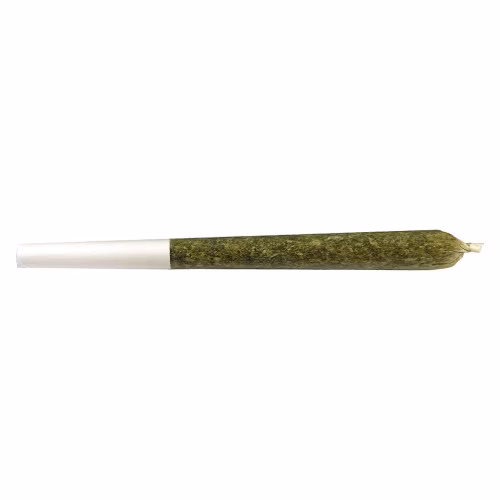 VOLO - Orange Turpentine Pre-Roll