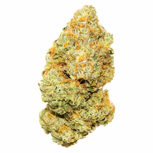 Palmetto - Sweet Deep Grapefruit