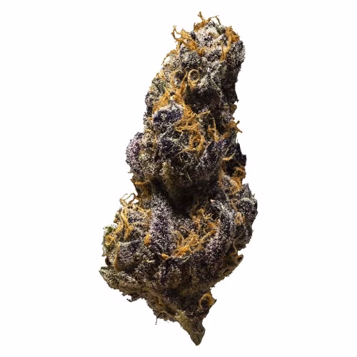 3rd Coast Genetics - Black Cheese (CLEAR BAGS!)