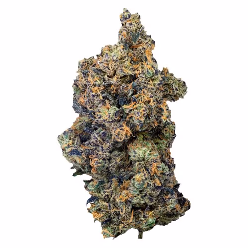 PURPLEFARM - Lime Rntz