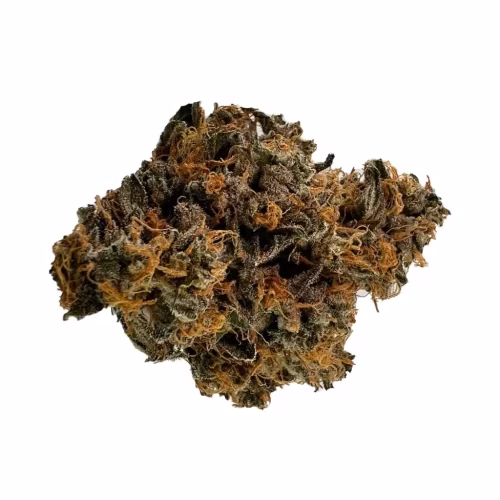 VIGR - VIGR Flatlander Hawaiian Flowers