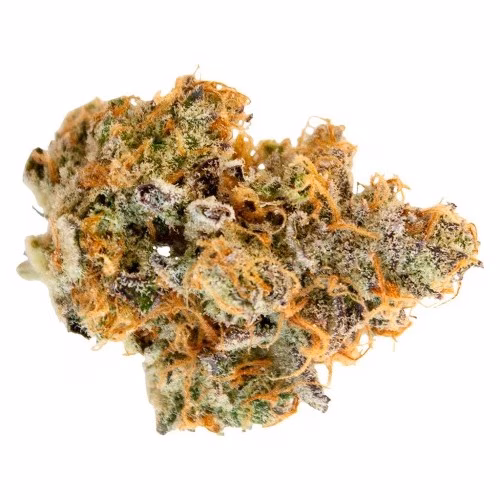Pineapple Buds - Hawaiian Pineapple