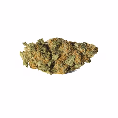Backwoods BC Bud - Humboldt County Kush
